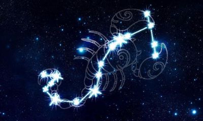 12生肖星座表白密码（星座第一渣男）