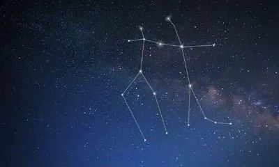 双子座的生活怎么样（双子座射手座怎样相处）