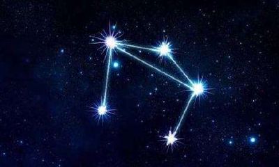 能走进天秤座女生内心的人（天秤座注定爱哪个星座）