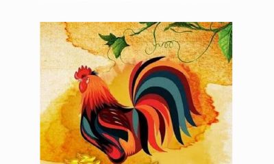 1993年属鸡和98年属虎（1998年属虎女和93年属鸡）