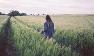 狮子座10月22日感情运势（天蝎座12月感情运势）