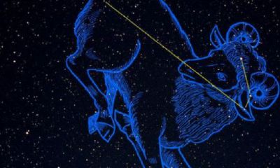 水瓶座是不是很傻（有一种傻叫水瓶座的傻）