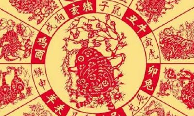 明年是什么年2023年属相（本命年是不是财运不好）