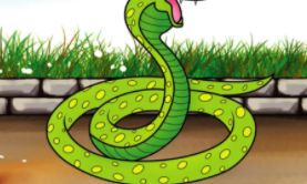 属牛的人2023年几月份出生比较好（请问2024年属龙的是什么命）