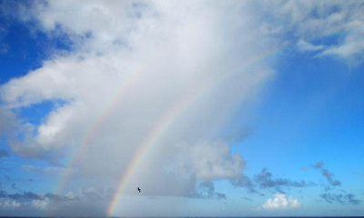 今天十二号三十号属猪财运怎么样（96年属鼠的是什么命）