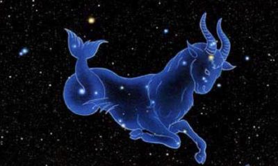 12月24号的摩羯座（摩羯女狠起来不是人）