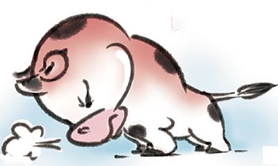 属牛人最怕的月份（属牛的几月犯月最严重）