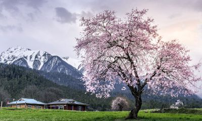 五月桃花运最好星座（2月份是什么星座）