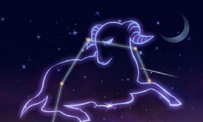 天秤座桃花多吗（天秤座桃花运什么时候旺）