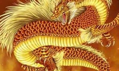 属龙的和什么生肖最好（属相龙和虎相配吗）