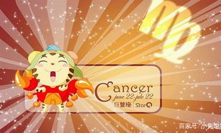 温柔的星座女排行（十二星座温柔排名）