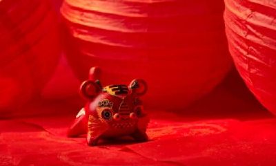 2023年是金虎年吗（属虎几月出生是大金虎）