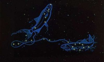 狮子座月亮星座双鱼（月亮星座双鱼座女人）