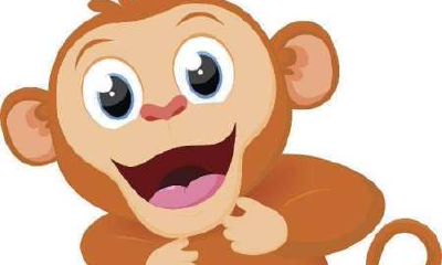 属猴的爱情运势咋样（属猴的今年感情如何）