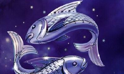 星座运势双鱼今日（第一星座运势）