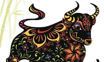 十二生肖属相大对比（十二生肖大小属相之分）