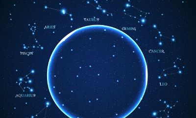 摩羯座乐观的悲观主义者（摩羯座内心的脆弱）