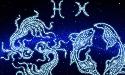 3日15是什么星座双鱼座（5月是什么星座）