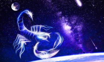 天蝎座很偏执吗（天蝎座理智吗）