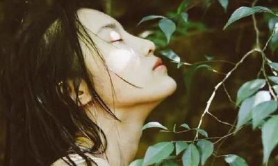 白羊座之后是什么（白羊座还叫什么星座）