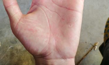 情商高的手相特征（女人手相分析）