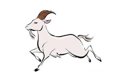 属虎的男人性功能（属羊的男人性功能怎么样）