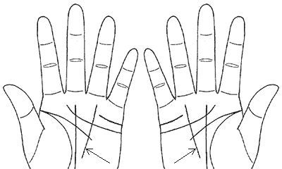 女人手相学历线（事业线女生手相怎么看）