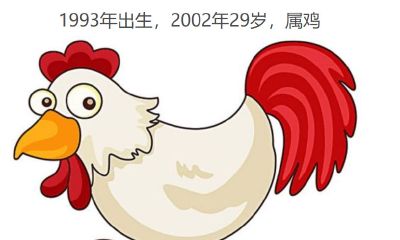 93年属鸡的是什么命2023（1993年属鸡人一生运势）