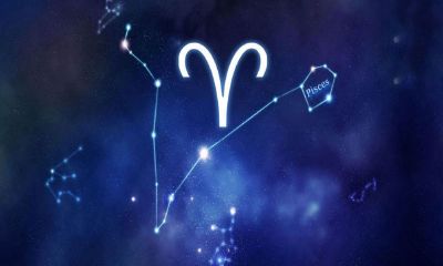 白羊座把你介绍给朋友（白羊座突然不理你代表什么）