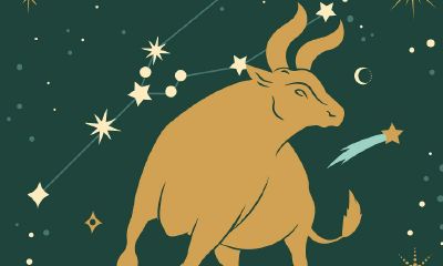 无花果树能旺风水吗（做梦梦见大黑蛇并杀蛇）