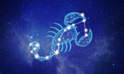 第八宫天蝎冥王代表什么（冥王星天蝎8宫有爱情吗）