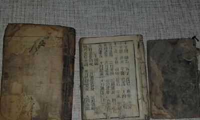 看一看风水宝地的书（家居风水看什么书最好）