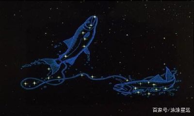 处女座的软肋是爱情（摩羯座是金牛座的软肋）