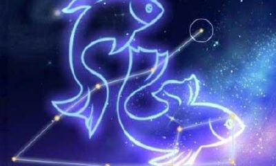 如何和双鱼座谈恋爱（双鱼座和水瓶座配吗）