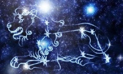 狮子座最相配（为什么狮子座和白羊座最配）