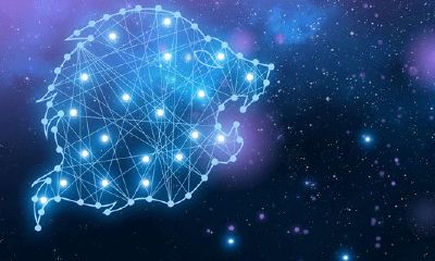 月亮落在狮子座第一宫（太阳落在狮子座第一宫）