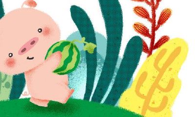 属猪女跟属猪男合财（属猪男和属猪女配吗）