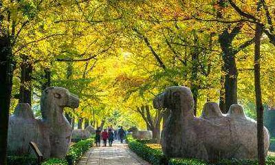 城隍庙求姻缘灵验（广州城隍庙求姻缘）