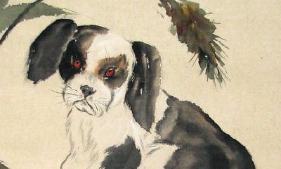 属虎的人和什么属相最好（与生肖虎相合的生肖）