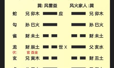 梅花易数和六爻（梅花易数解卦思路）