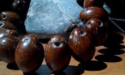 属羊人适合戴紫金鼠吗（属羊人戴什么最合适）