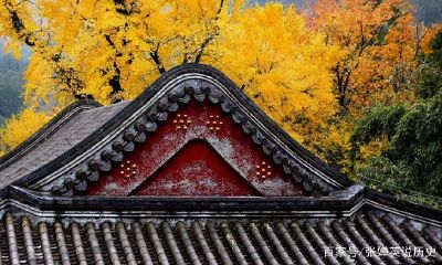 夫妻是前世修来的吗（夫妻是前世的什么人）