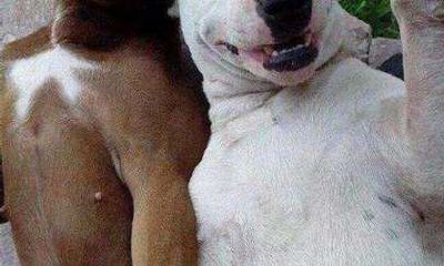 八字看几段婚姻（八字看你命中注定的丈夫）