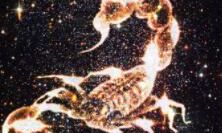 天蝎座的敌对（双子座和天蝎座）