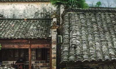 梦见房顶破了个洞还漏雨（1973年属牛人2023年的财运运势如何）