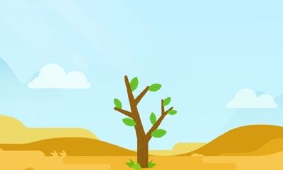 男女朋友合种树取名（狮子座男和金牛座女婚姻配对）