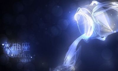 水瓶座agr是什么意思啊（射手座的缩写字母）