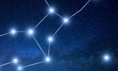 算星座是算农历还是新历（阳历是农历吗还是新历）