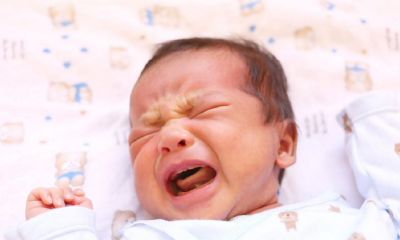 博字取名的意思和含义（博字取名字好不好）