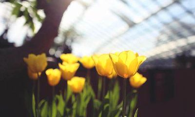 发财和命运有关系吗（发财千万的八字命理）